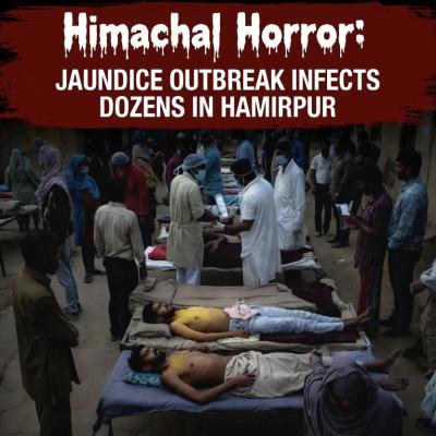Himachal Horror: Jaundice Outbreak Infects Dozens in Hamirpur